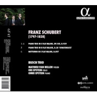 SCHUBERT: TRIO OPUS 100, SONATENSATZ & NOTTURNO