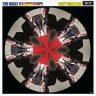 Holly Kaleidoscope