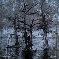 NANSEMOND
