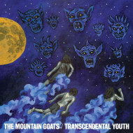 TRANSCENDENTAL YOUTH