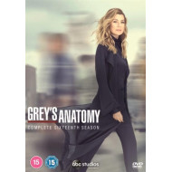 GREY'S ANATOMY S16