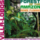 FOREST OF THE AMAZON<br/><h5>Megjelenés: 2002-07-30</h5>