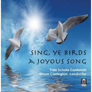 SING YE BIRDS A JOYOUS SONG