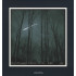 CHARMS OF THE NIGHT SKY