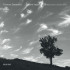 YSAYE: SONATES POUR VIOLON