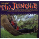 JUNGLE<br/><h5>Megjelenés: 2008-01-14</h5>