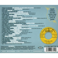 SWAMP POP BY THE BAYOU 2