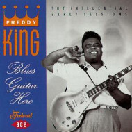 BLUES GUITAR HERO