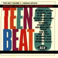 TEEN BEAT VOL.3