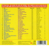 CHARTBUSTERS USA VOL.2