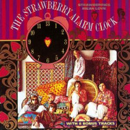 STRAWBERRY MEAN LOVE