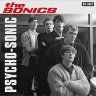 PSYCHO-SONIC -REMASTERED-