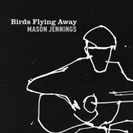 BIRDS FLYING AWAY
