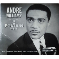 FORTUNE OF HITS