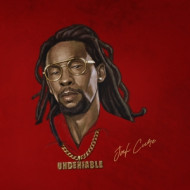 UNDENIABLE