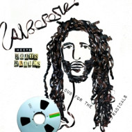 MEETS ROOTS RADICS - DUB FOR THE RADICALS