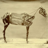 HORSE COMANCHE