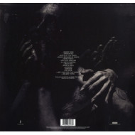 WE ARE NOT YOUR KIND (180 GR 12