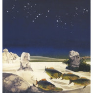 TALES FROM TOPOGRAPHIC OCEANS
