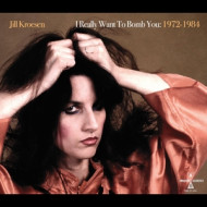 I REALLY WANT TO BOMB YOU: 1972 - 1984