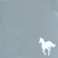 WHITE PONY