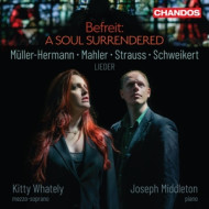 BEFREIT A SOUL SURRENDERED