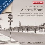 HEMSI CHAMBER WORKS