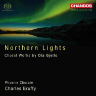 NORTHERN LIGHTS