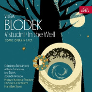 BLODEK: IN THE WELL