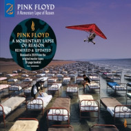 A MOMENTARY LAPSE OF REASON