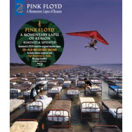 A MOMENTARY LAPSE OF REASON