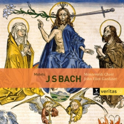 MOTETS BWV 225-231/CANTATAS BWV 50 & 118