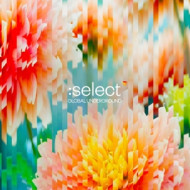 GLOBAL UNDERGROUND: SELECT #5