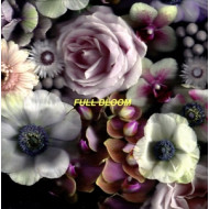 FULL BLOOM