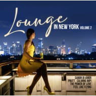 LOUNGE IN NEW YORK VOL.2