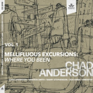 MELLIFLUOUS EXCURSIONS VOL.1: WHERE YOU BEEN