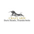 DARK HANDS, THUNDERBOLTS