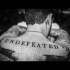 UNDEFEATED