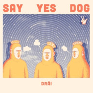 DRAI