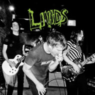 SPOOF ATTACKS (SINGLES AND OTHER STAIN 2011-13)