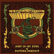 7-DIRT IN MY EYES/PICTURE PERFECT