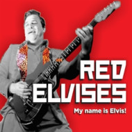 MY NAME IS ELVIS