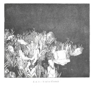 KLEIN EILAND