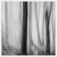 SOLEILS NOIRS