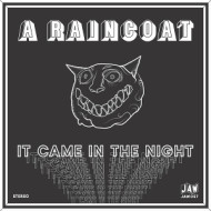 7-IT CAME IN THE NIGHT/VOTE FOR ME