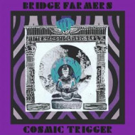 COSMIC TRIGGER