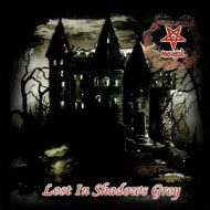 LOST IN SHADOWS GREY
