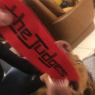 7-GUNS/(THE PEOPLE WANT A) SHOW