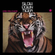 SLOW DOWN TIGER