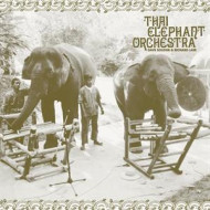 THAI ELEPHANT ORCHESTRA